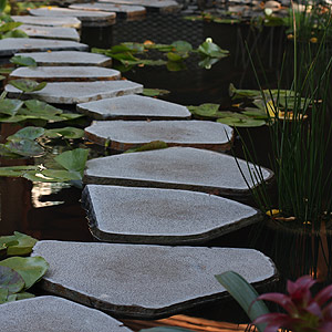 Pond with stepping stones