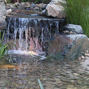 Garden Pond and Waterfall