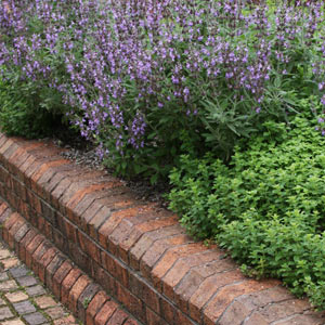 Raised Garden Bed