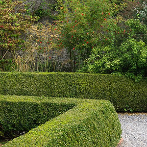 Formal Hedge