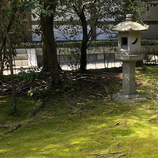 Japanese Garden - Moss and Ornament