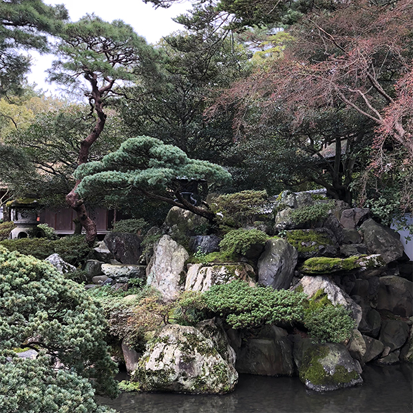 Japanese Garden Plants