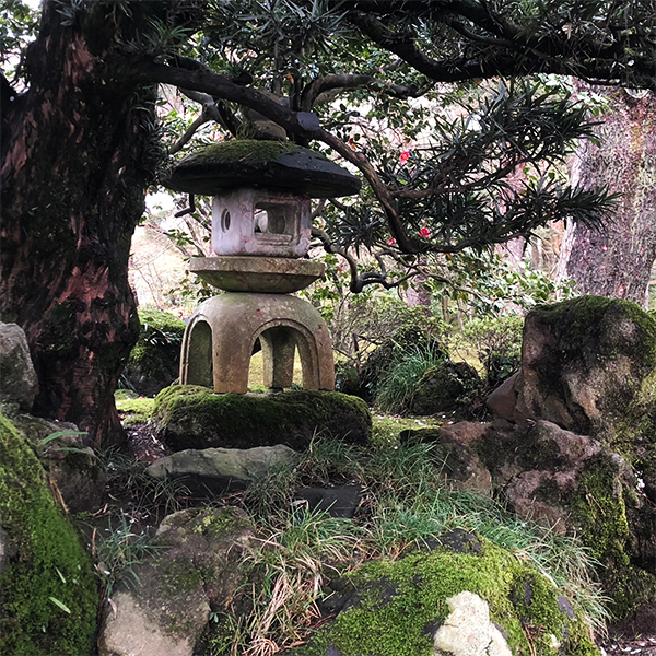 Moss and Rock Garden