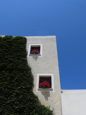 Red flowers in the window box against white walls