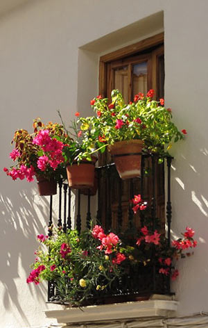 Terra cotta Pots as a window box alternative