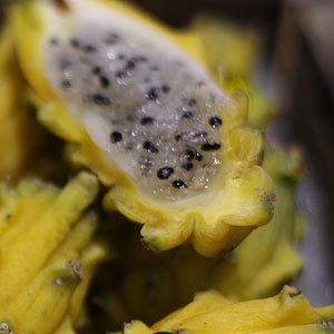 Yellow Dragon Fruit